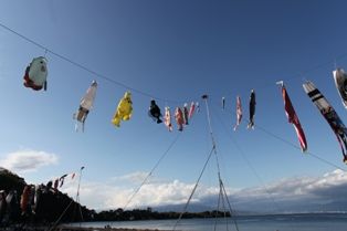 IMG_7746