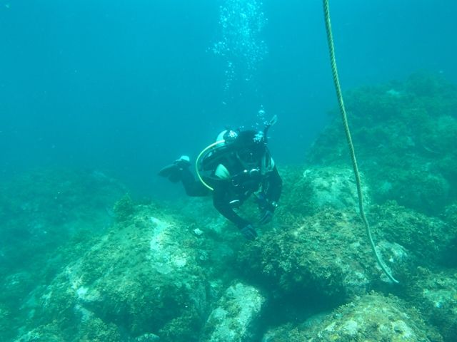 初島 (85)