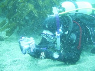 �̿���̴�桦����