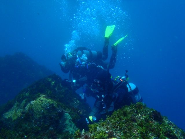 P5040578