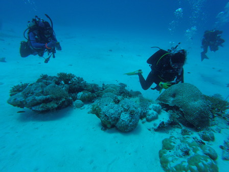 GOPR3555