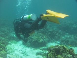 のんびり流され中