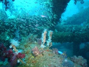 �ܡ��ȥ����ӥ�