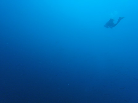 GOPR8113_1566726162181_high