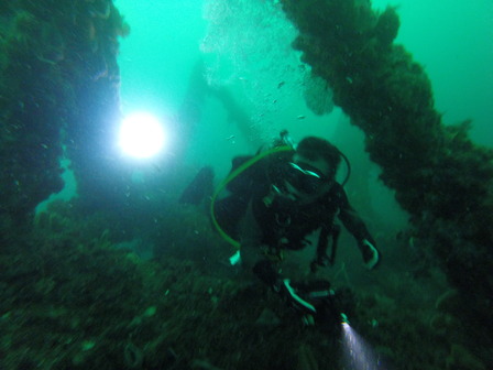 GOPR7922_1561263256558_high