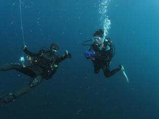 �ڤ����������