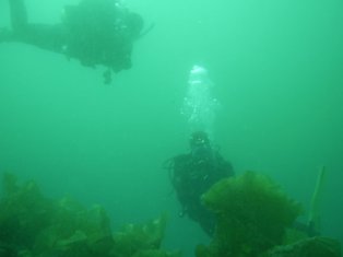 �Τ�Ӥ���������