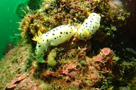 Dy9iELBe38RbZTt78Ymr9LZXzMUnfCPYsC4eNy986IAeJxFPc