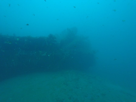 GOPR1423