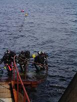 ���󥸥祤������ţ�