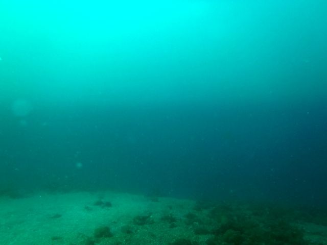 �����ؤ�����