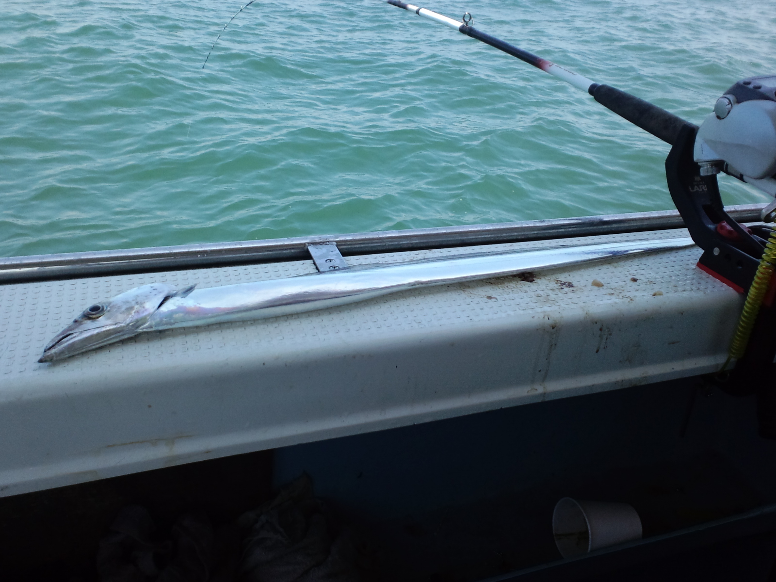 ２００９ ９ ６ 明石 釣船鍵庄 タチウオ釣行記３ 釣れたらいいな 釣り 海上釣堀