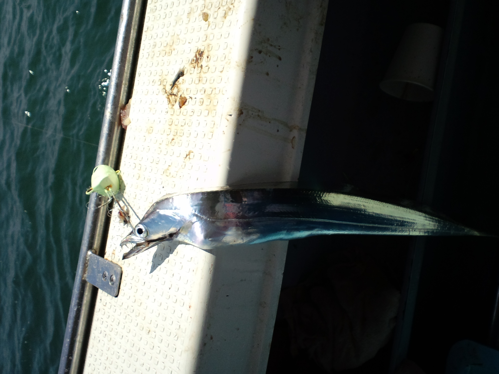 ２００９ ９ ６ 明石 釣船鍵庄 タチウオ釣行記３ 釣れたらいいな 釣り 海上釣堀