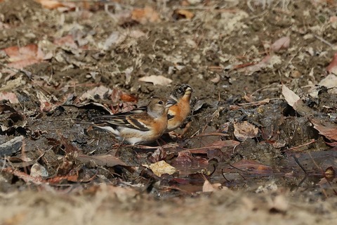 308A0869