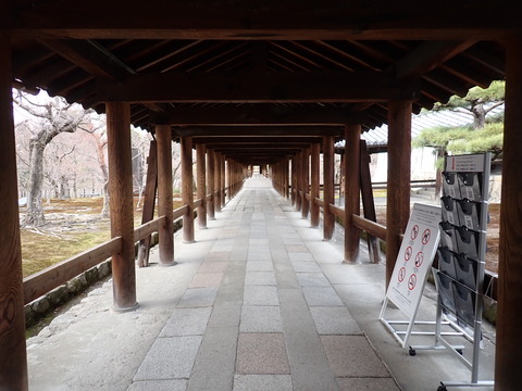 ③P2246658