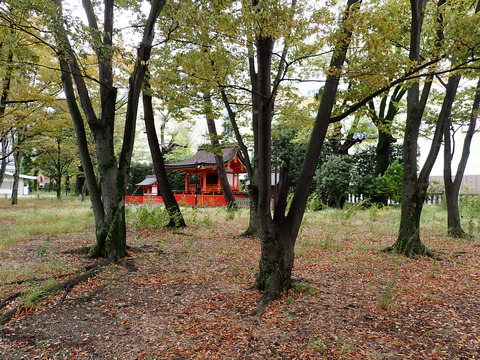 ⑦PA282045