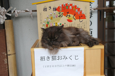 F00A3654