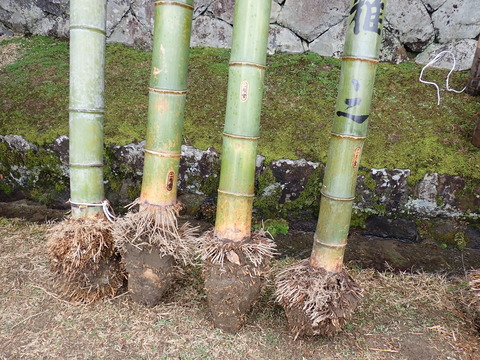 ④P3060140