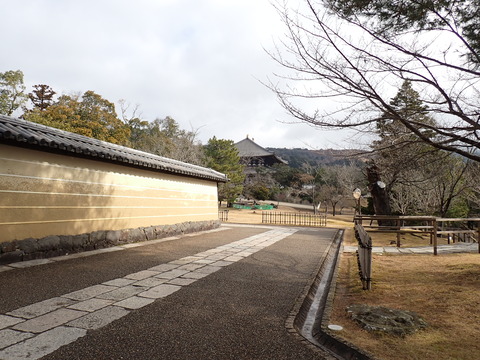 ③P2040021