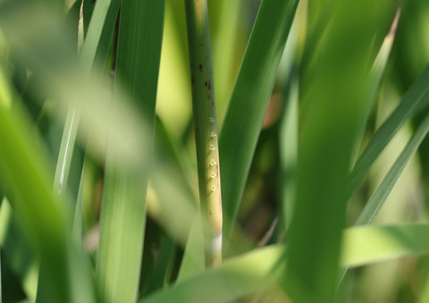 F00A2252