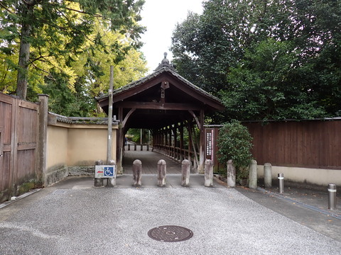 ⑦PA251980