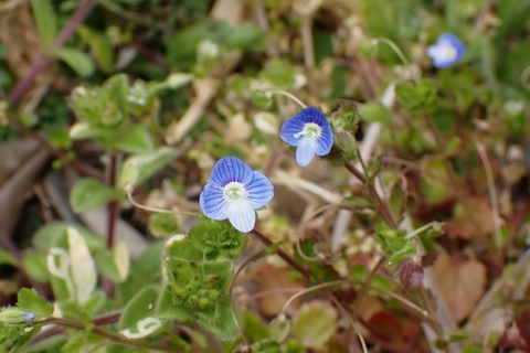 P3156823