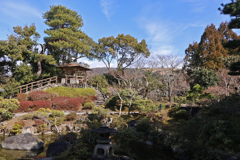 308A8536③
