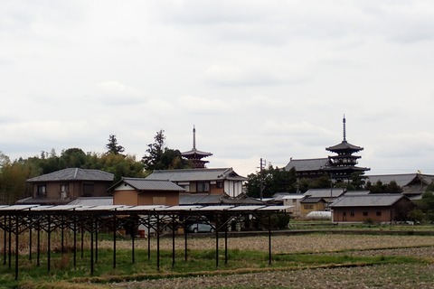 ⑤P4023933