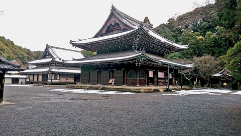 DSC_0540泉涌寺