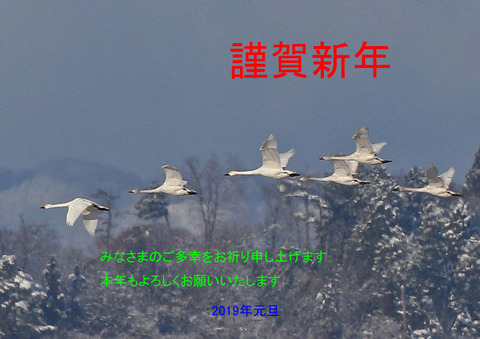 F00A6439年賀