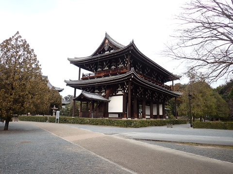④P2246629