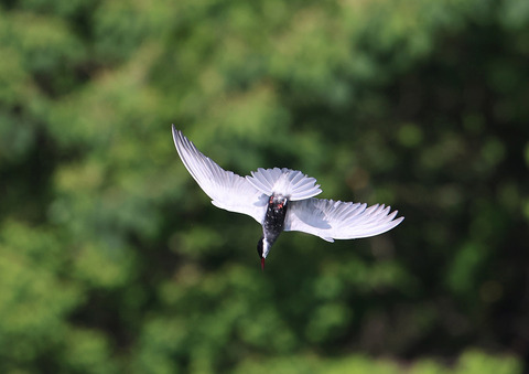 308A0375②