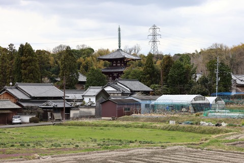 ④308A5429