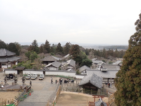 ⑨P3133730