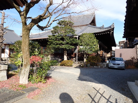 ①本妙寺PC240023