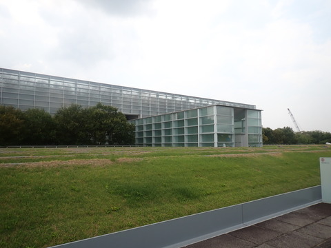 ⑤P8255654