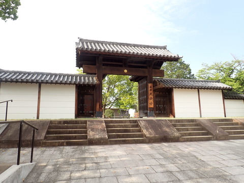 ①P4287224