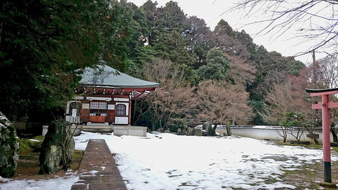 DSC_0543善能寺