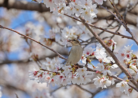 308A3932③