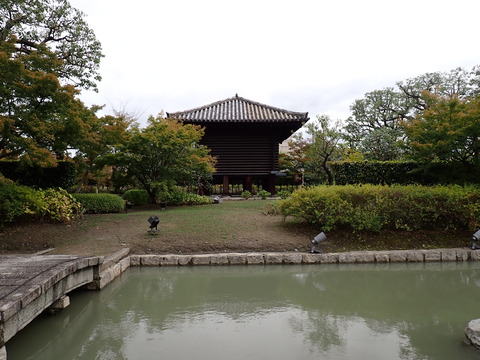 ⑥PA282036