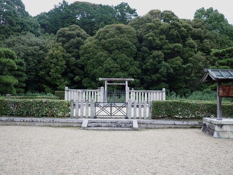 P7087437