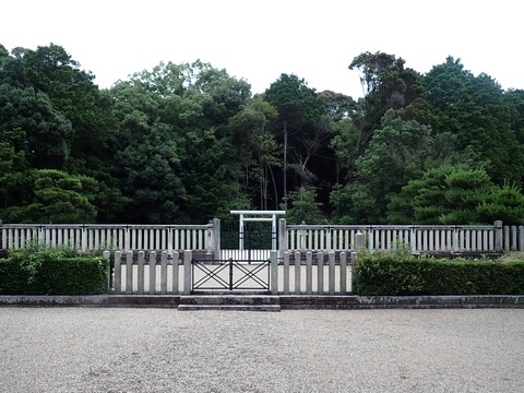 P7087371