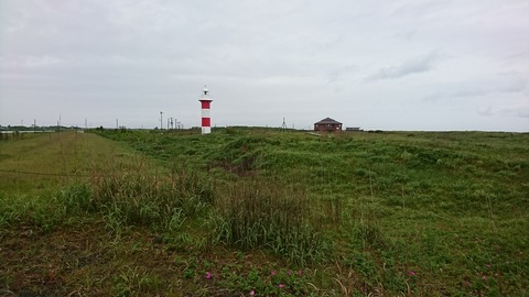 DSC_8634b