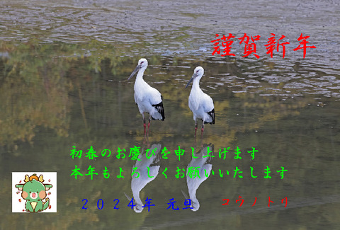 コウノトリ２０２４