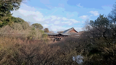 DSC_0520東福寺通天橋