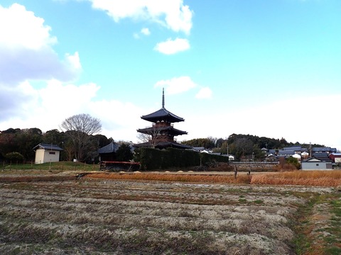 P1033438