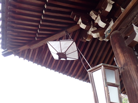 ⑧P3060054
