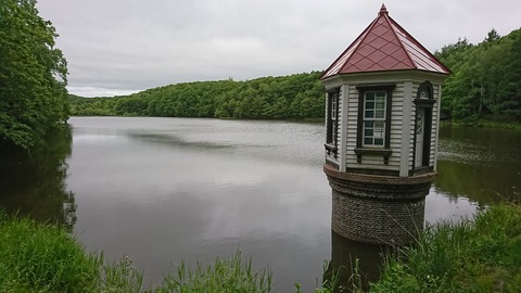 DSC_8657b