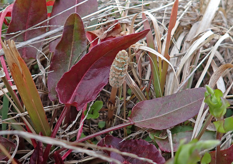 P3140261