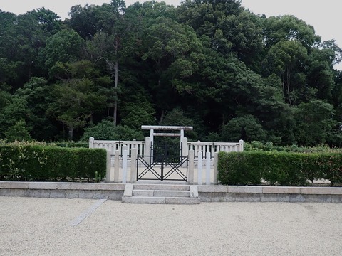 P7087451